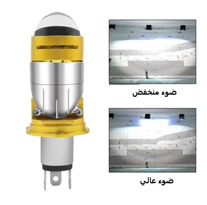 Mini Loup Laser H4